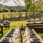 Vortex to Vineyards by ABC wildlife host Rachel Reenstra - Who Is This Tour Best For?