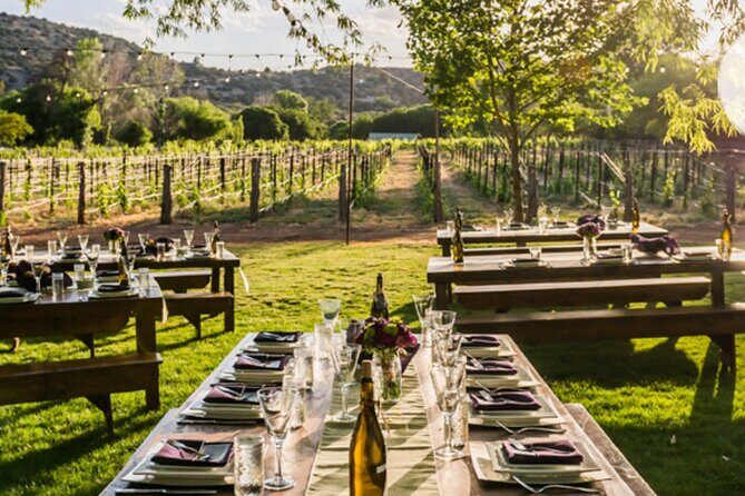 Vortex to Vineyards by ABC wildlife host Rachel Reenstra - Who Is This Tour Best For?