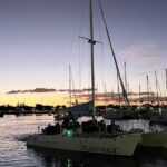 Waikiki Beach Catamaran Friday Night Fireworks Tour - Why the Waikki Fireworks Catamaran Tour Truly Shines