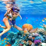 Waikiki Catamaran Escape: Snorkel with Turtles & Water Sports Fun - The Sum Up