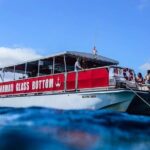 Waikiki Glass Bottom Boat Cruise - Authentic Reviews: What Travelers Say