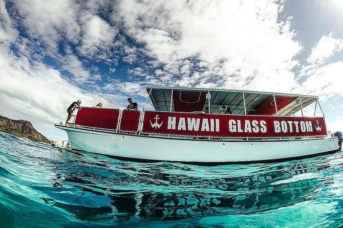 Waikiki Glass Bottom Boat Tour - The Sum Up: Is the Waikiki Glass Bottom Boat Tour Right for You?