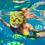 Waikiki Green Sea Turtle Snorkeling Tour - Boat Excursion - Who Should Consider This Tour?