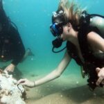 Waikiki: Honolulu Beginner Scuba Diving with Videos - Who Should Book This Tour?