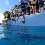 Waikiki: Sail and Turtle Snorkel Experience - Who Will Love This Tour?