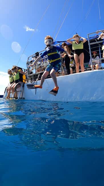 Waikiki: Sail and Turtle Snorkel Experience - Who Will Love This Tour?