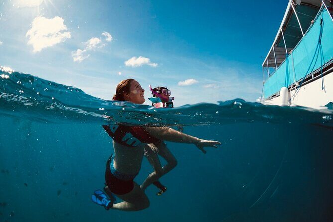 Waikiki Snorkel Tour - The Sum Up: Who Should Book This Tour?