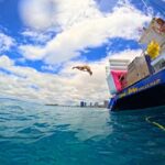 Waikiki Snorkeling and Ocean Waterpark Adventure - Who Will Love This Tour?