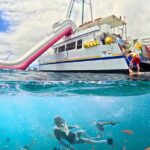 Waikiki Snorkeling & Ocean Waterpark Adventure from Oahu - What Makes This Tour Stand Out
