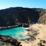 Waikiki Trolley Blue Line Coastline & Local Grindz Hop-on Hop-off - The Sum Up