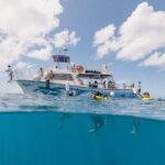 Waikiki Turtle Canyon Snorkeling with Hula Show - FAQ