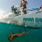Waikiki Turtle Snorkel & Sail combo on Hawea Catamaran - An In-Depth Look at the Waikiki Turtle Snorkel & Sail Experience