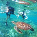 Waikiki: Turtle Snorkeling Cruise with 20ft Jumping Platform - Authentic Perspectives from Travelers