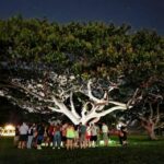 Waikiki: Waikiki Night Marchers Ghostly Walking Tour - Final Thoughts: Is This Tour Worth It?