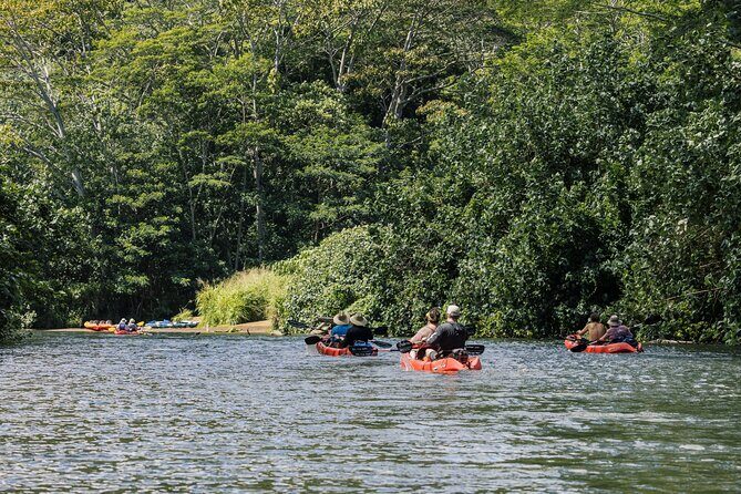 Wailua River: Kayak & Secret Waterfall Adventure - Discovering Kauai’s Hidden Wilderness: The Adventure Begins