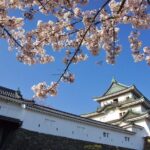 Wakayama Castle Town Walking Tour - Who Will Enjoy This Tour Most?
