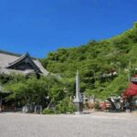 Wakayama: Customizable Private Day Tour - Final Thoughts: Is It Worth It?