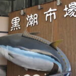 Wakayama: Marina City and Kuroe Area tour - The Value of This Tour