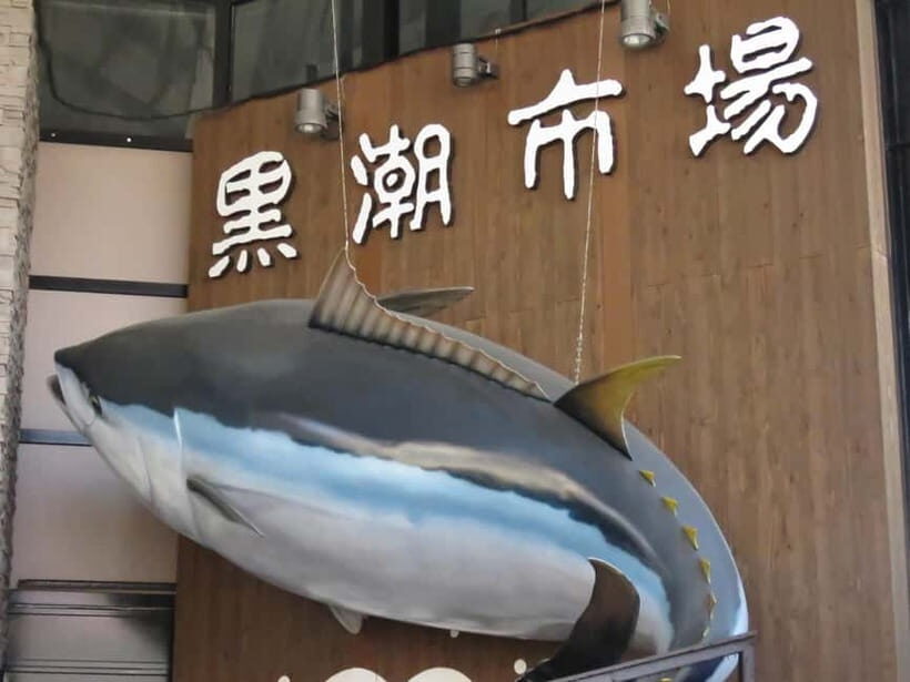 Wakayama: Marina City and Kuroe Area tour - The Value of This Tour