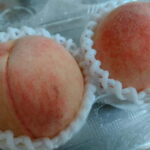 Wakayama: Private Station Food Hall Support with Guide - Who Should Consider This Tour?