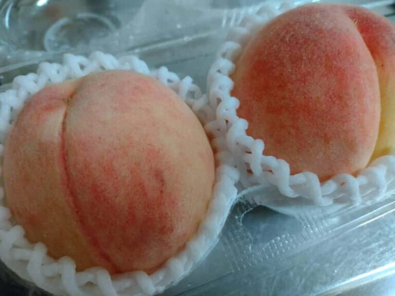 Wakayama: Private Station Food Hall Support with Guide - Who Should Consider This Tour?