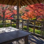 Walking Tour in Himeji : Castle, Garden and Indigo Dyeing - In-Depth Look at the Itinerary