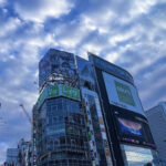 Walking Tour in Shinjuku & Kagurazaka: Tokyo's Hidden Gems - Practical Details and What to Expect
