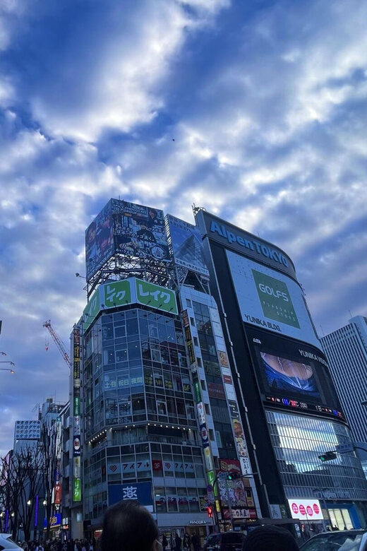 Walking Tour in Shinjuku & Kagurazaka: Tokyo's Hidden Gems - Practical Details and What to Expect