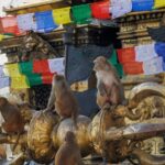 Walking Tour of Kathmandu (Half Day) - What Makes This Tour Stand Out?