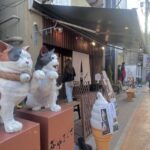 Walking Tour: Yanaka,Nezu& Sendagi: Tea Ceremony & Old Tokyo - An In-Depth Look at the Tour Experience