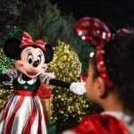 Walt Disney World Special Event Tickets - FAQs