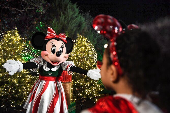 Walt Disney World Special Event Tickets - FAQs