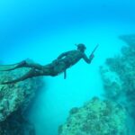 Warkworth: Full-Day Spearfishing Charter - Final Thoughts: Is This Tour Right for You?