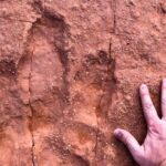 Warner Valley Dinosaur Track Site 4x4 Tour - Final Thoughts: Is the Warner Valley Dinosaur Track Site 4x4 Tour Worth It?