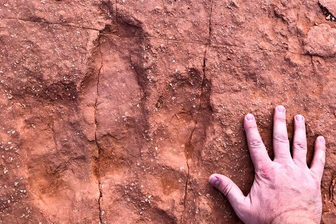 Warner Valley Dinosaur Track Site 4x4 Tour - Final Thoughts: Is the Warner Valley Dinosaur Track Site 4x4 Tour Worth It?