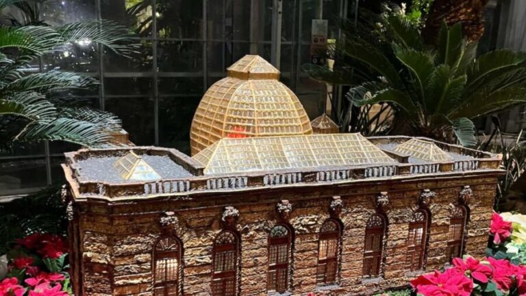 Washington, DC: Christmas Tree & Holiday Lights Bus Tour - Who This Tour Is Best For