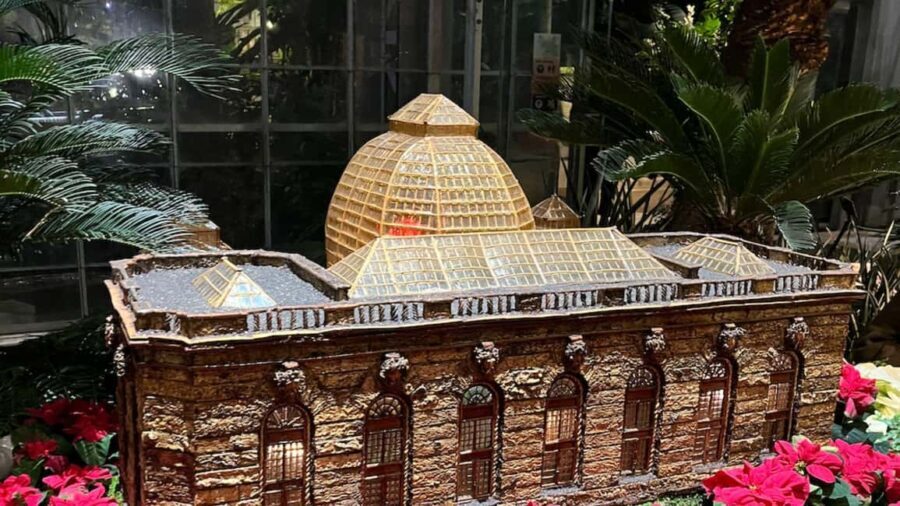 Washington, DC: Christmas Tree & Holiday Lights Bus Tour - Who This Tour Is Best For