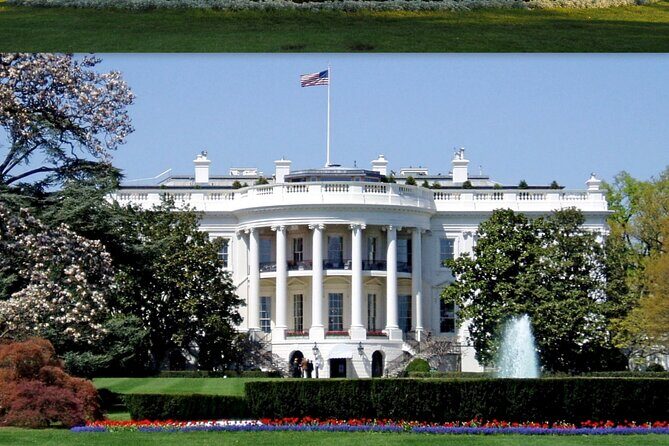 Washington DC Diplomatic and Monuments Guided Tour - What We Love About This Tour