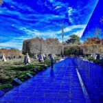 Washington DC Narrated City Tour - Authentic Feedback from Travelers