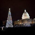 Washington, DC: National Mall and Memorials Moonlight Tour - What Makes This Tour Stand Out