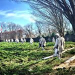 Washington, DC: Private Tour by Van to Honor Our Heroes - Who Should Consider This Tour?