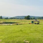 Washington, DC: Virginia Wine Region Experience Tour - Exploring the Virginia Wine Region: An In-Depth Look