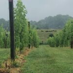 Washington DC: Winery Tour - Who Is This Tour Perfect For?