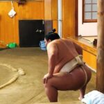 Watch Sumo Morning Practice at Stable in Tokyo - The Sum Up