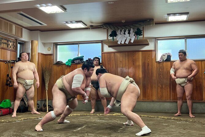Watch the Real Sumo Morning Practice tour at Yokozuna stable - Practical details and considerations