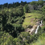 Waterfall Hunting- Bambarakanda & Lanka Falls + Natural Pool Bath - Practical Details and What You Need to Know