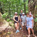 Waterfalls and Bushwalk Eco Adventure - Who Will Love This Tour?