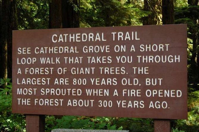 Waterfalls, Coombs and Cathedral Grove Rainforest Tour - What to Expect from the Experience