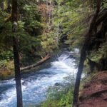 Waterfalls & the McKenzie River in a Tesla - Who Will Enjoy This Tour?