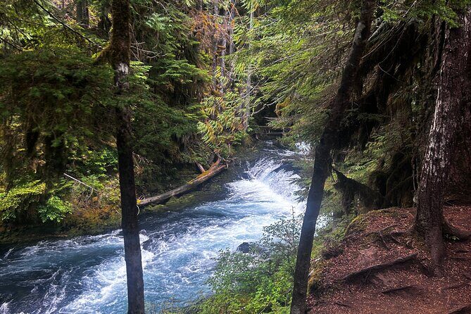 Waterfalls & the McKenzie River in a Tesla - Who Will Enjoy This Tour?